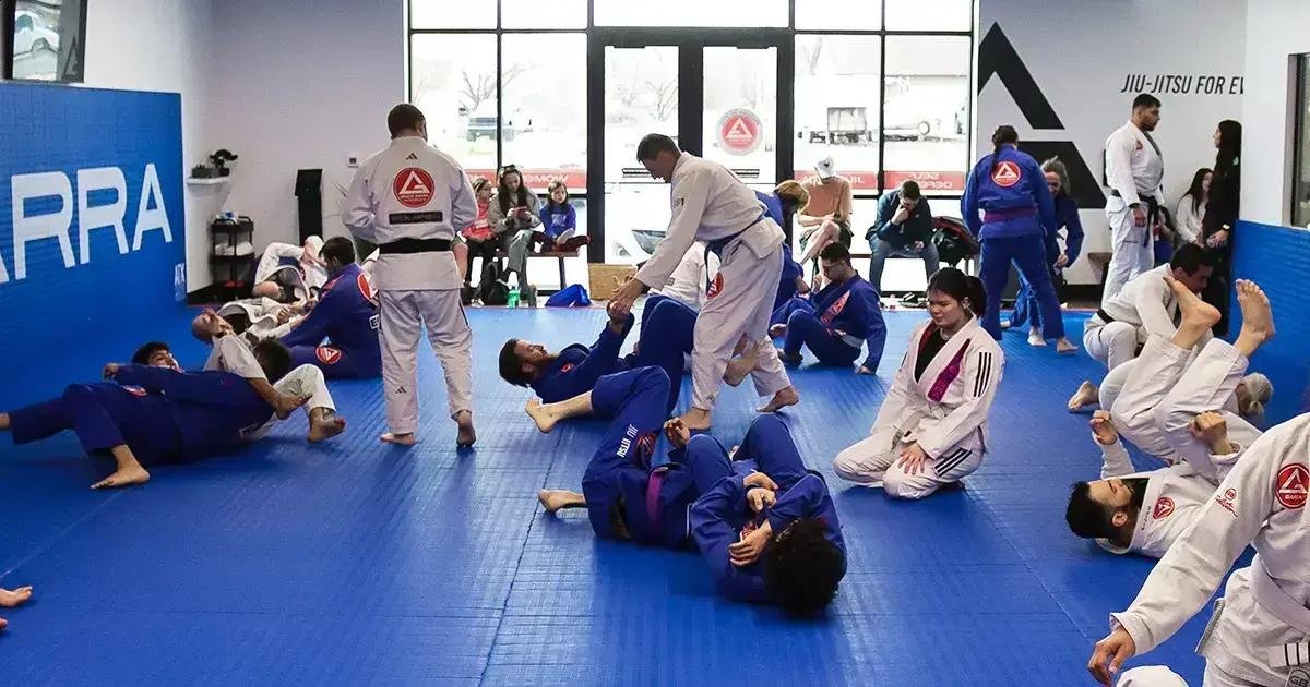 Jiu-Jitsu vs Academia: Análise de Cada Opção