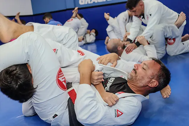 jiu jitsu icarai 33